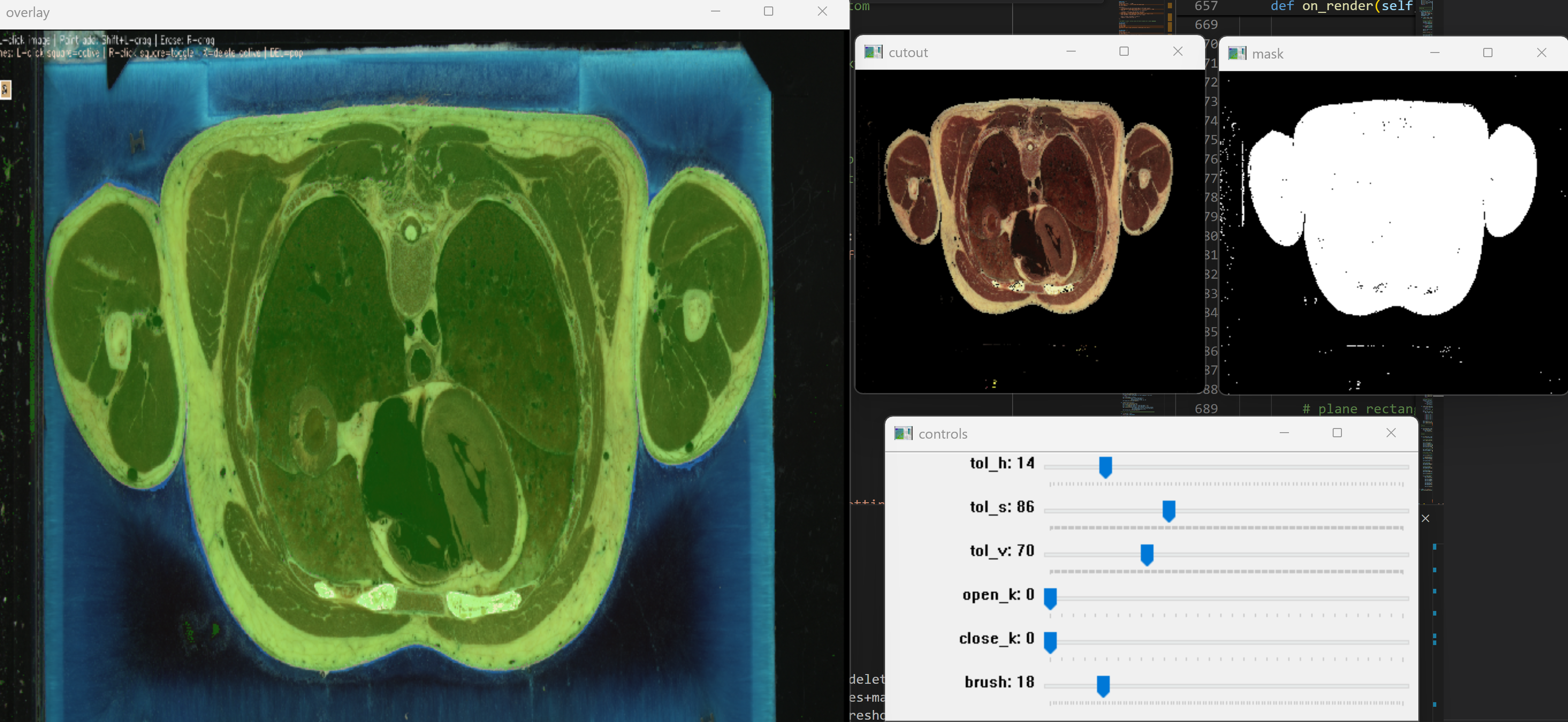 Human Visualization App Curve Modifier